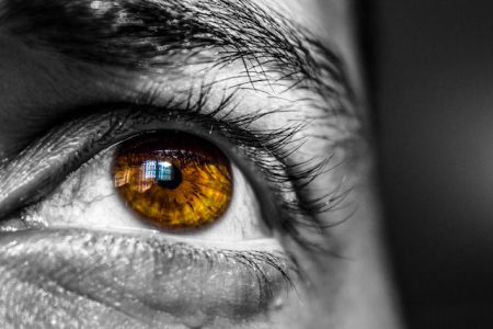 vision